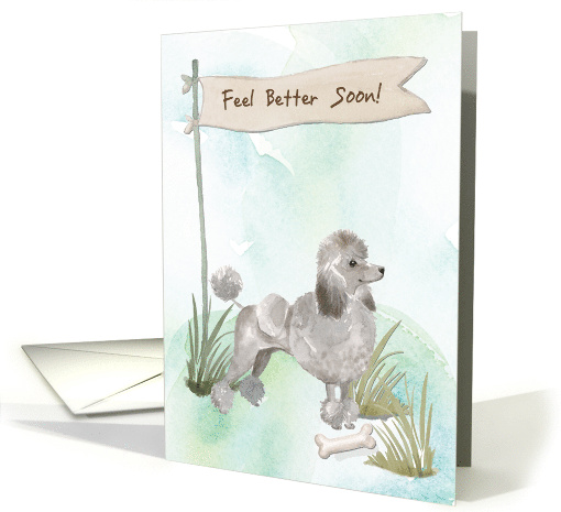 Grey Poodle Feel Better After Surgery to Dog card (1574038)