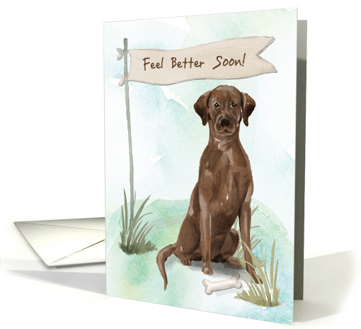 Chocolate Lab Feel Better After Surgery with Dog card (1574044)