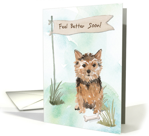 Norfolk Terrier Feel Better After Surgery to Dog card (1574432)