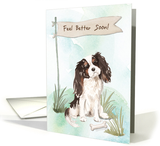 Tri Colour King Charles Spaniel Feel Better After Surgery to Dog card