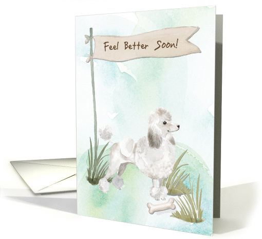 White Poodle Feel Better After Surgery to Dog card (1574446)