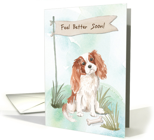 Cavalier King Charles Spaniel Feel Better After Surgery with Dog card