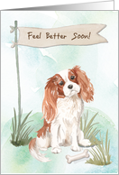 Cavalier King Charles Spaniel Feel Better After Surgery with Dog card