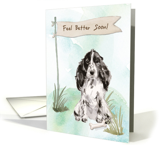Cocker Spaniel Feel Better After Surgery with Dog card (1574686)