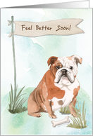 English Bulldog Feel Better After Surgery with Dog card