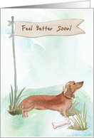 Tan Dachshund Feel Better After Surgery with Dog card