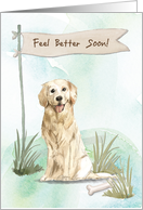 Golden Retriever Feel Better After Surgery with Dog card