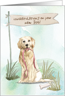 Golden Retriever Congratulations on New Dog card