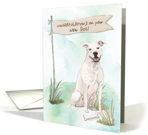 American Staffordshire Terrier Congratulations on New Dog card