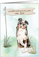 Australian Shepherd Congratulations on New Dog card