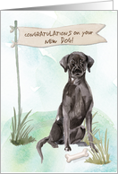 Black Lab Congratulations on New Dog card