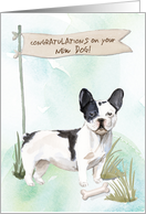 Black and White French Bulldog Congratulations on New Dog card