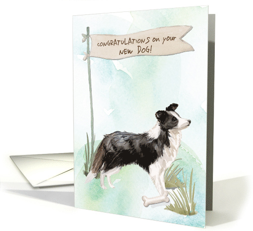 border-collie-congratulations-on-new-dog-card-1577726