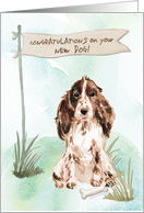 Brown Cocker Spaniel Congratulations on New Dog card