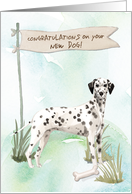 Dalmatian Congratulations on New Dog card