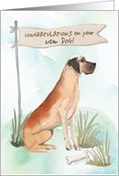 Great Dane Congratulations on New Dog card