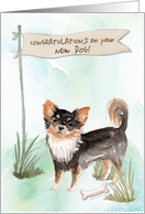 Long Haired Chihuahua Congratulations on New Dog card