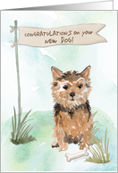 Norfolk Terrier Congratulations on New Dog card