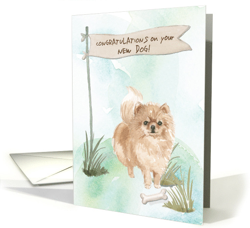Pommeranian Congratulations on New Dog card (1577766)