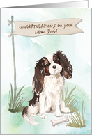 Tri Colour King Charles Spaniel Congratulations on New Dog card