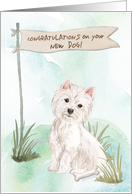 Westie Congratulations on New Dog card