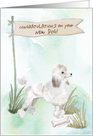 White Poodle Congratulations on New Dog card