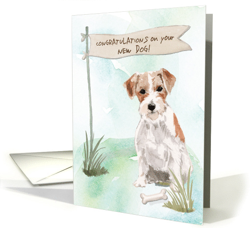 Wire Haired Jack Russell Congratulations on New Dog card (1577782)