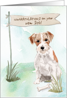 Wire Haired Jack Russell Congratulations on New Dog card