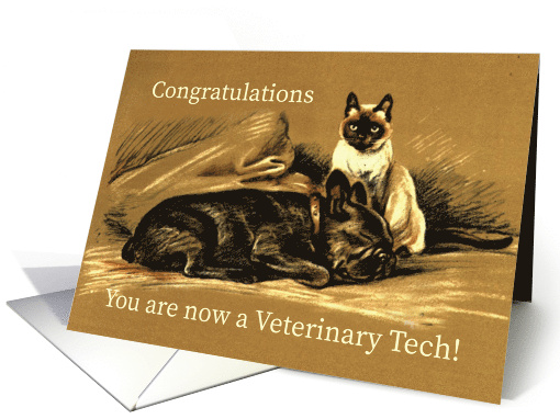 Congratulations for Veterinary Tech with Dog and Cat Illustration card