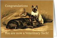 Congratulations for Veterinary Tech with Dog and Cat Illustration card