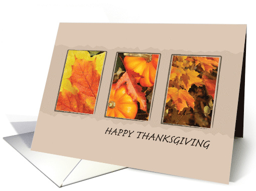 Thanksgiving with Fall Foliage and Pumpkins card (234878)