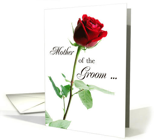 Thank You for Mother of the Groom with Red Rose Wedding card (250162)