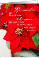 Grandmother at Christmas with Poinsettias card