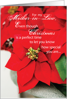 Mother in Law Poinsettia Seasons Greetings Christmas card