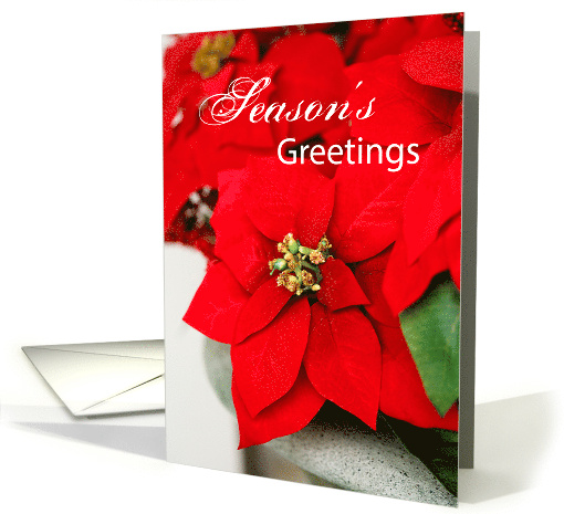 Seasons Greetings Red Poinsettia Business Appreciation card (259497)