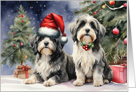 From Dog Two Tibetan Terriers in Santa Hat or Holly Collar card