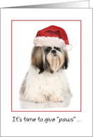 Shih Tzu Dog and Santa Hat Christmas card