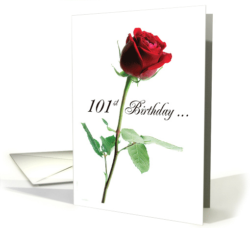 101st Birthday Red Rose Card 265283