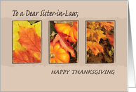 Sister in Law Religious Three Leaves Thanksgiving Holiday Fall card