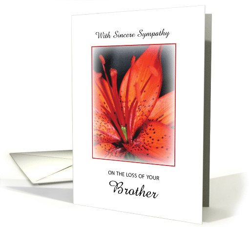Loss of Brother Sympathy Red Flower card (294351)