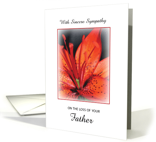 Loss of Father Sympathy Red Flower card (297849)