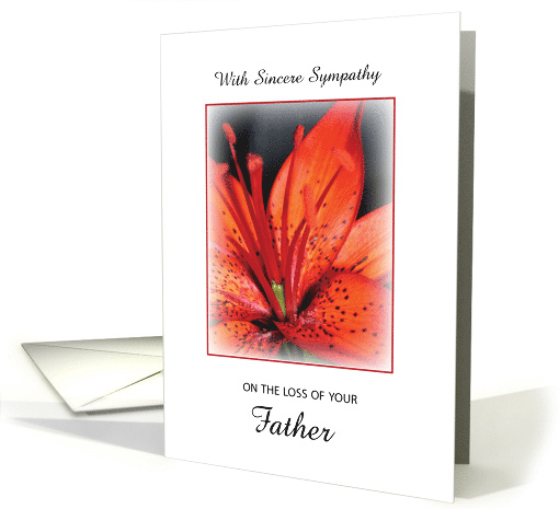 Loss of Father Sympathy Red Flower card (297849)