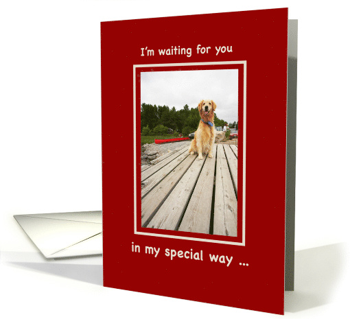 Valentine from Golden Retriever Valentines Day with Pet card (321242)