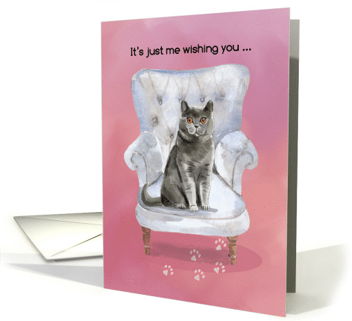 Valentine from Cat Sitting on Chair card (321248)