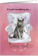 Valentine from Cat Sitting on Chair card