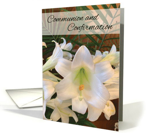 Communion And Confirmation RCIA White Lilies and Ferns card (379150)