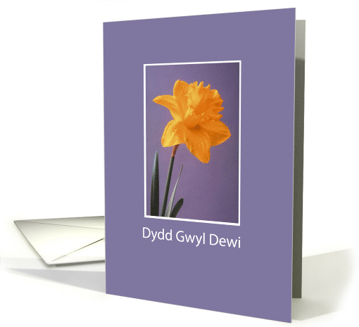 St Davids Day Dydd Gwyl Dewi Yellow Daffodil card (379208)