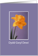 St Davids Day Dydd Gwyl Dewi Yellow Daffodil card