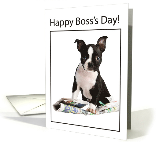 Dog with Newspaper Happy Bos Day card (487434)