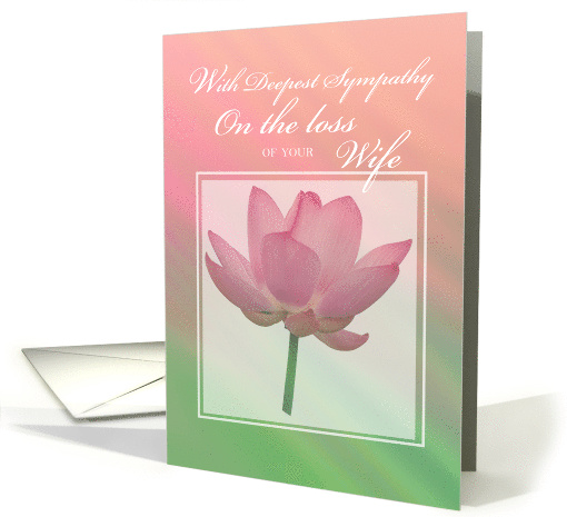 Pink Flower Sympathy Loss of Wife Condolences card (539022)